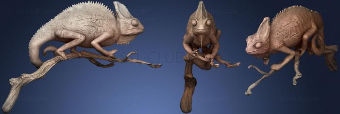 3D model Chameleon Sculpt (STL)